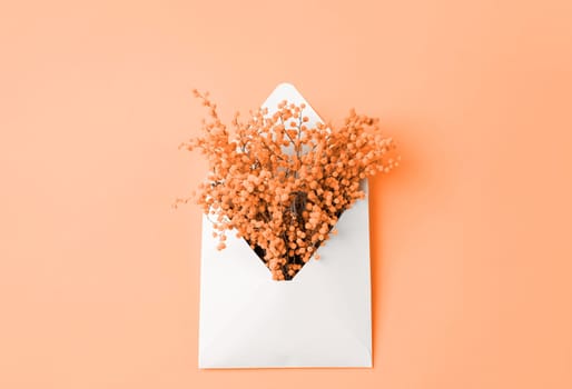 Color of the year 2024: Peach Fuzz. Spring congratulations. Opened white envelope with mimosa flowers on yellow background, mockup design