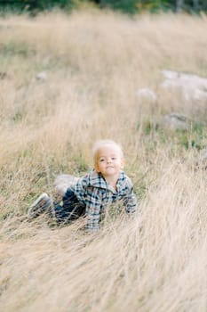 Little smiling girl stands on all fours in tall dry grass. High quality photo