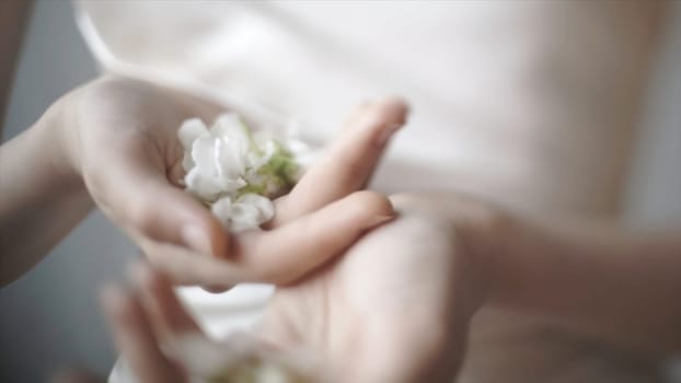 Close up of tender female hands holding white flower buds on blurred background, art concept. Model with soft flowers lying in her hands.