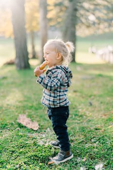 Little girl nibbles a big bagel standing on a green lawn. Side view. High quality photo