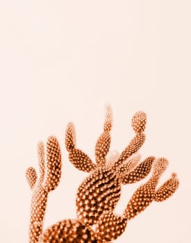 Color of the year 2024: Peach Fuzz. Closeup of cactus on toned background. Minimal neutral floral composition