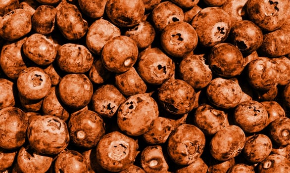 Color of the year 2024: Peach Fuzz. Blueberries texture