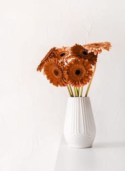 Color of the year 2024: Peach Fuzz. gerbera daisies in white vase on table, minimal style. Copy space