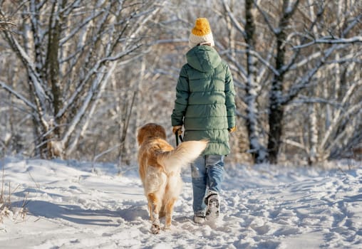Girl Strolls With Golden Retriever In Winter Forest, View From Back, Walking With Dog Through Snow-Covered Woods