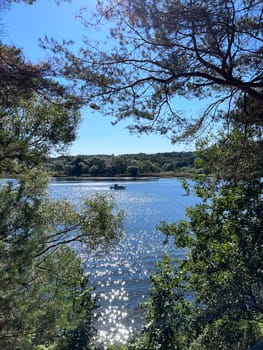 the trees along the shore of the lake. High quality photo