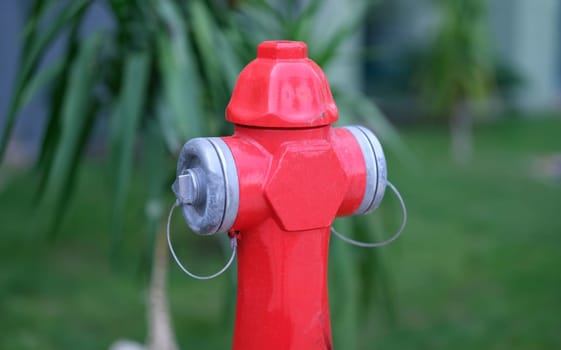 Red fire hydrant standing in park closeup. Fire safety concept