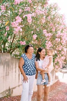 Smiling granny with mom look at a little girl in her arms while standing in a blooming garden. High quality photo