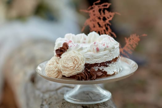 wedding autumn cake on the tree and wedding couple on the background