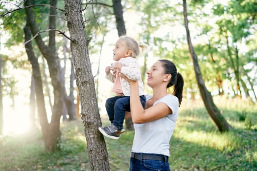 Mom lifts a little girl on outstretched arms to a tree in the park. High quality photo