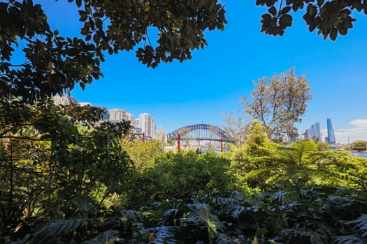 Wendy Whiteley's Secret Garden on a warm summer's morning in Lavender Bay, Sydney, New South Wales, Australia