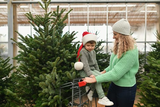 Mother and son buy a Christmas tree in the market.