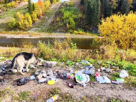 Perm, Russia - September 18, 2023: Pile of garbage left in the beautiful nature. Human damage to the environment. Concept of environmental pollution. Environmental Disaster