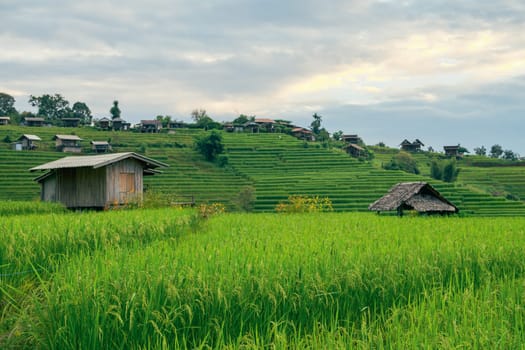 Landscape of green rice terraces amidst mountain agriculture. Travel destinations in Chiangmai, Thailand. Terraced rice fields. Traditional farming. Asian food. Thailand tourism. Nature landscape.