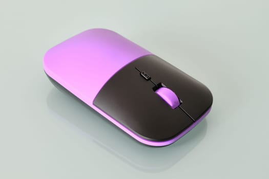 Pink computer mouse close up