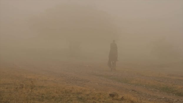 Man riding dark brown horse across field near big tree in thick fog. Cowboy is riding the horse fast in low evening light.