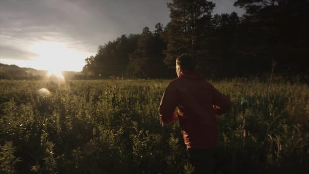 Rear view of a man running through wild green field with long grass. Camera follows runner in beautiful quiet fall, sunset meadow background.