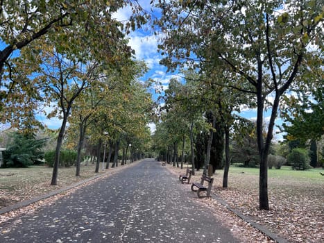 Walkway at central city park. High quality photo