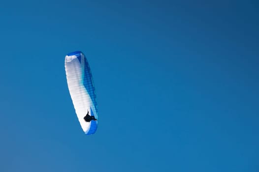 paraglider flies in the blue sky. athlete flying in the air, piloting on wind currents.