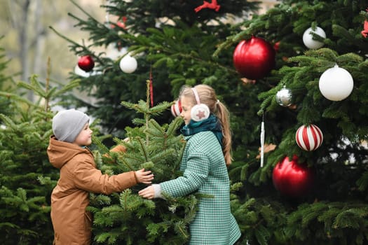 The kids choose a Christmas tree at a fair in the city