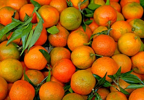 Boxes with tangerines. Fresh mandarin oranges or tangerines fruit with leaves in boxes at the open air local food market. Wholesale depot of exotic fruits.