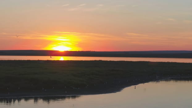 Seagulls bird fly above the river at sunset time. Birds fly at sunset. Sunset on the river, aerial.