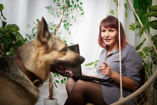 happy beautiful girl in chair using her laptop with cute big dog. Adult middle aged woman with german shepherd. Friendship and love