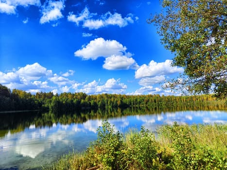 Beautiful colorful summer spring natural landscape with lake in Park surrounded by green foliage of trees in sunlight. Water through the branches of trees