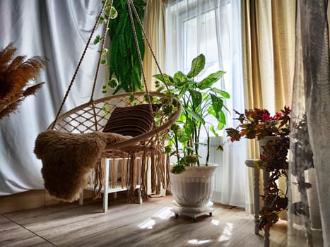 Modern cozy beautiful room with a braided rope macrame chair, green plants and a window with curtains. Interior and background. Location for photo shooting