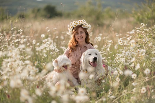 Woman dogs meadow chamomile. Woman embraces her furry friends in a serene chamomile field, surrounded by lush greenery. A heartwarming display of love and companionship between a woman and her dog