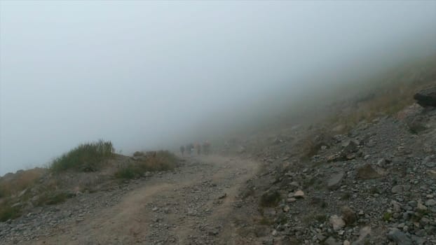 Group of active tourists are walking along mountain trail with fog. Clip. Tourists with sticks go uphill along trail on cloudy day. Thick fog on mountain trail with tourists on cloudy day.