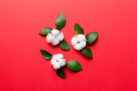 Autumn Floral Flat lay background composition. Dried white fluffy cotton flower branchwith green leaf top view on colored table with copy space.