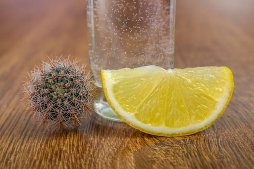 Tequila shot with lemon and two small cactus on a wooden background