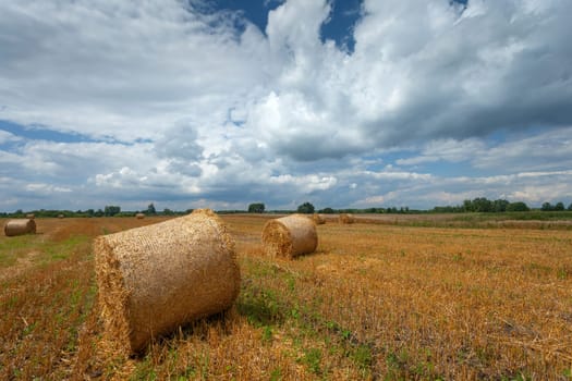 Hay bales in the rural field and clouds on the sky, summer view, eastern Poland