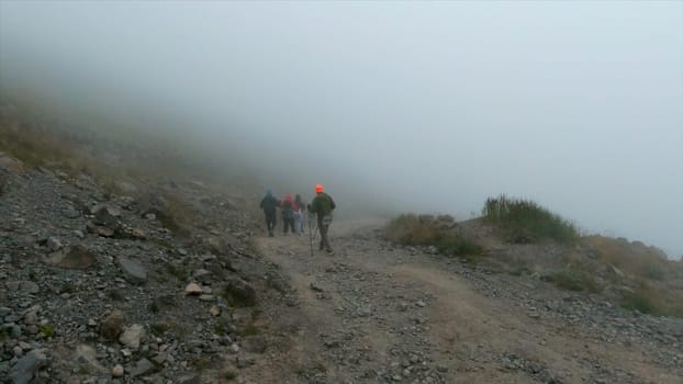 Group of active tourists are walking along mountain trail with fog. Clip. Tourists with sticks go uphill along trail on cloudy day. Thick fog on mountain trail with tourists on cloudy day.
