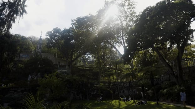 Luxury green garden of the summer manor. Action. Sun shining through leaves of green trees