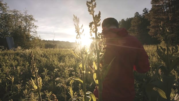 View from the back of man in red jacket and jeans standing on the field and taking a photo or video of green plants. Professional photography of wild nature