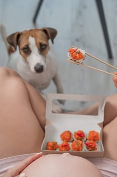 A pregnant woman sits on the sofa and eats rolls. Jack Russell Terrier dog sits on the floor and begs for food from its owner