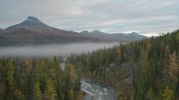 Top view of forest landscape with river and mountains with fog. Clip. Beautiful cloudy day over forest valley with river and mountains. Mountain river in forest area and fog.