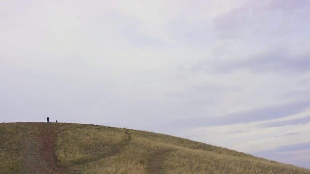 Rear view of man standing on the hill. Back view of man looking at beautiful landscape with agricultural fields and mountains. Rear view of man standing outdoors in front of rainforest and contemplating beauties of exotic wild nature on sunny day.