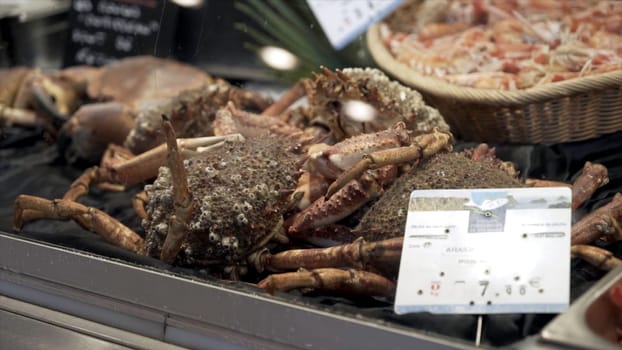 Close-up of fresh seafood in supermarket. Action. Variety in selection of marine products stored in refrigeration chamber in store.