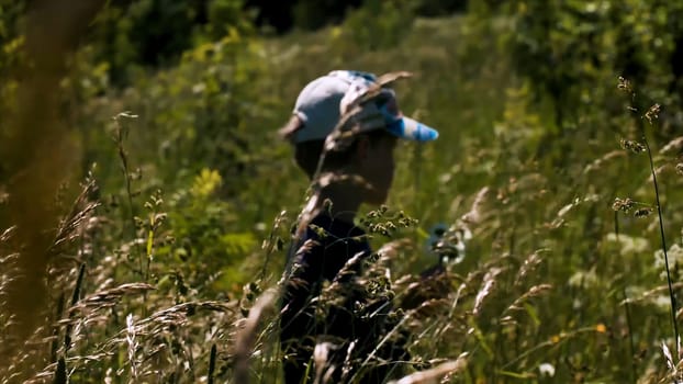 Portrait of a thoughtful little boy standing in long grass. Creative. Cute boy child in the summer meadow under the shining sun