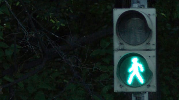 Traffic light with green light and safe to move. Traffic light in the city. Traffic light changing colour.