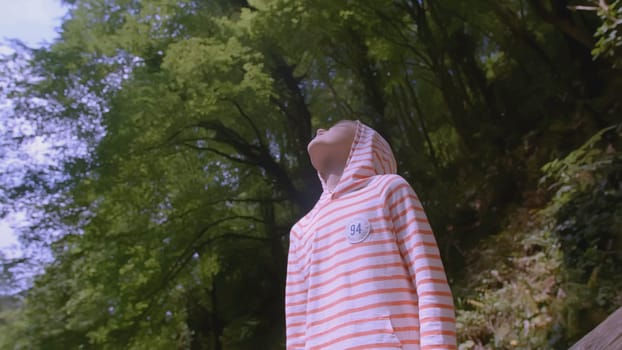 Boy walks in wild forest in summer. Creative. Boy enjoys and has fun walking in wild forest in summer. Summer hike with child in forest.