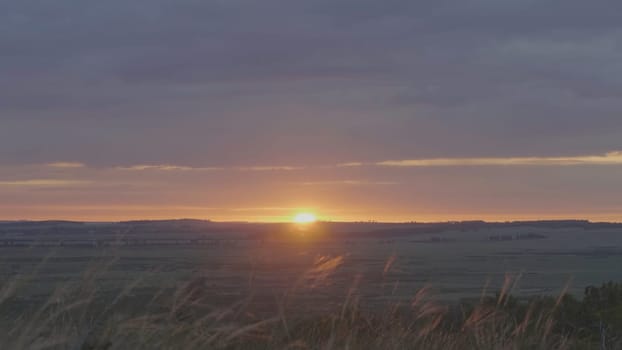 Grass in the wind at sunrise. Summer grass meadow of pleasant wind with bright sunlight sunny spring.