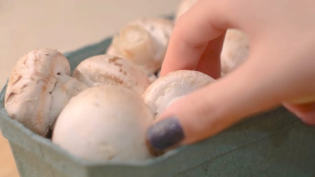 Close-up of hand taking champignon. Concept. Woman chooses fresh mushrooms for cooking. Raw champignons for home cooking.