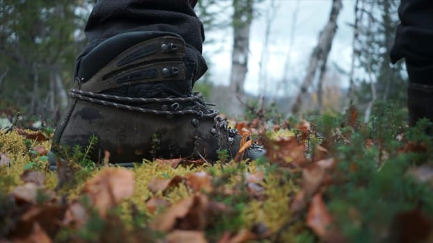 Close-up of traveler's boots on forest moss. Clip. Legs of traveler walking on forest moss on background of mushroom. Hiking through autumn forest with green moss under your feet.