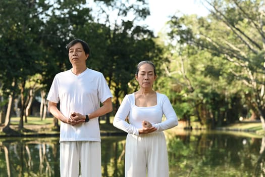 Peaceful middle age man and woman doing Tai Chi Chuan near lake at summer park