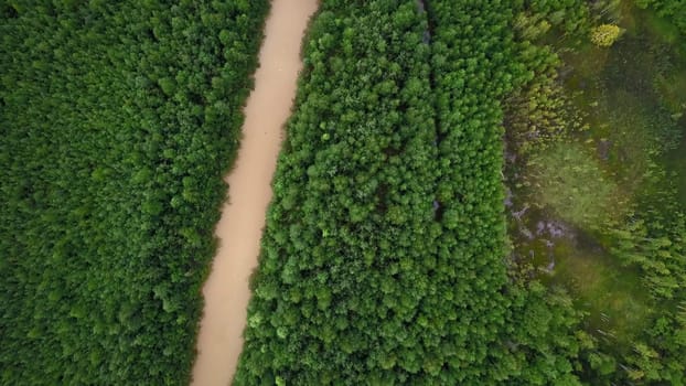 Top view of dirty river in forest. Clip. Dirty muddy river flows calmly in green forest. Brown river in forest area on sunny summer day.