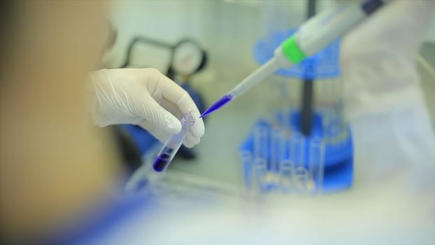 Test tubes closeup. Medical equipment. Close-up footage of a scientist using a micro pipette in a laboratory. Laboratory technician injecting liquid into a microtiter plate. Test tubes. Small depth of field. Medical. Tubes. Laboratory