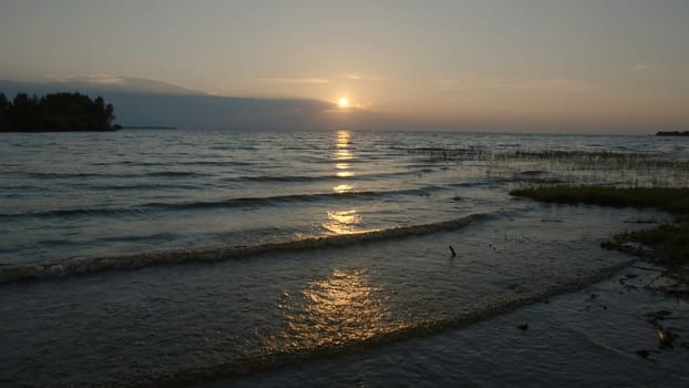 Grass and mud in shallow water with sunset. Creative. Grass in shallow water with water and small waves on horizon background. Waves and mud move with setting sun on summer evening.